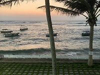 IMG_6198