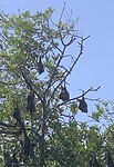 IMG_6205