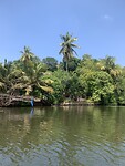 IMG_6232