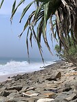 IMG_6248