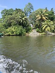 IMG_6235