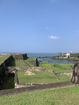 IMG_6278
