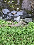 IMG_6291
