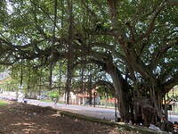 IMG_6293