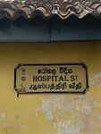 IMG_6302