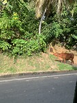 IMG_6348