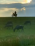 IMG_6359
