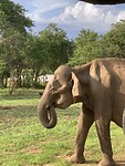 IMG_6581