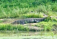 IMG_6656