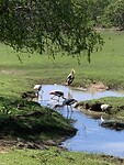 IMG_6450