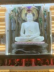 IMG_6469