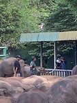 IMG_6544