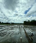 IMG_6668
