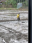 IMG_6492