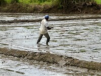 IMG_6670