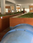 IMG_6628