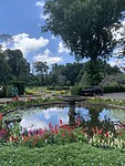 IMG_6692