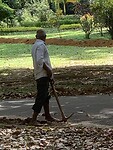 IMG_6699