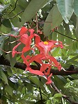 IMG_6705