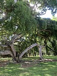 IMG_6708