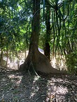 IMG_6716