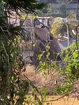 IMG_6725