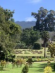 IMG_6697