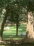 IMG_6700
