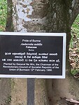 IMG_6706