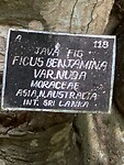 IMG_6715