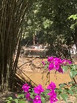 IMG_6710