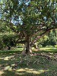 IMG_6714