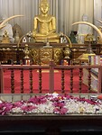 IMG_6748