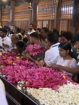 IMG_6761
