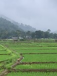 IMG_6829