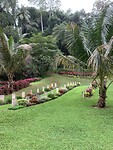 IMG_6799
