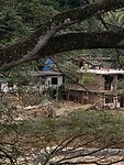 IMG_6806