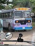 IMG_7527