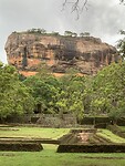 IMG_6896