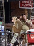 IMG_6900