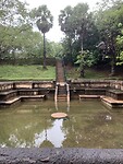 IMG_6973