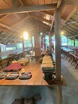 IMG_6989