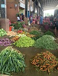 IMG_7032