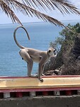 IMG_7080