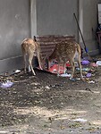 IMG_7119