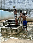 IMG_7427