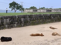 IMG_7206
