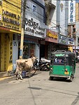 IMG_7226
