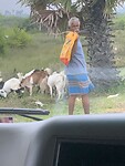 IMG_7260