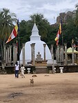 IMG_7324